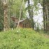 Ballyhoura Forest Luxury Homes photo 2