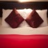 Powerscourt Arms Country House photo 4