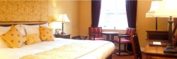 Schoolhouse Hotel photo 13
