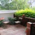 Number 31 photo 11