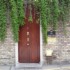 Number 31 photo 15