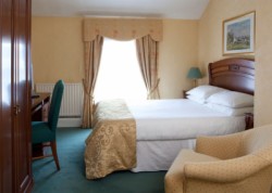 Single - Room Only Rate