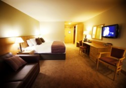 Executive Rooms From £80