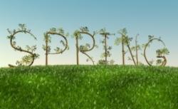 Weekend Gr8 Spring Surprises From £ 43