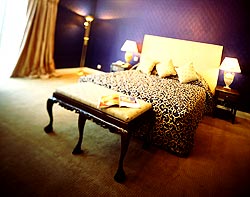 Athenaeum House Hotel - Visit the Medieval City of Waterford!