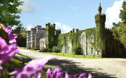 book Ballyseede Castle