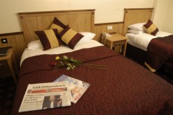 book Bush Hotel