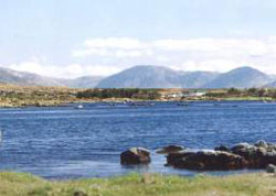 Carna Bay Hotel - Connemarathon 2012 Special Offer - 29