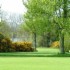 Deer Park Hotel photo 10