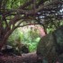 Deer Park Hotel photo 12