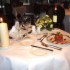 Deer Park Hotel photo 8