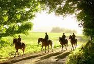 Hotel Minella - 2 Night Equestrian Break with Woodland