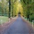 Park Hotel Virginia photo 4