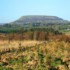 Murphys Hotel  photo 9