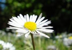 June B&B Rates from €70pps