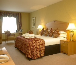 book Radisson Blu Hotel and Spa, Limerick