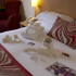 Radisson SAS Hotel & Spa Limerick photo 4