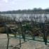 Belvedere Lodge Guesthouse photo 9