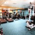 Malone Lodge Hotel & Apartments photo 9