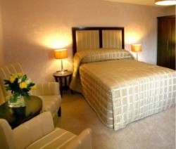 book Malone Lodge Hotel & Apartments