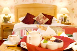 book Wyatt Hotel