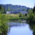Tulfarris Hotel & Golf Resort photo 11