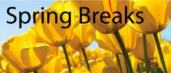 Spring Magic Midweek Breaks