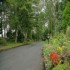 Ardilaun Hotel photo 14