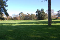 IMI Residence photo 6