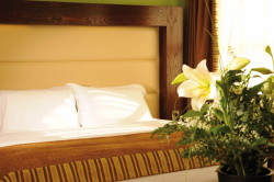 book Treacy's Hotel