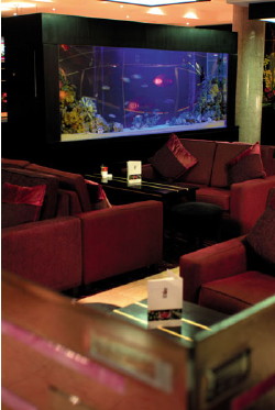 Crowne Plaza Hotel photo 6