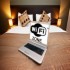 book Millenium Apartments
