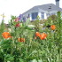 book Rockville Guesthouse