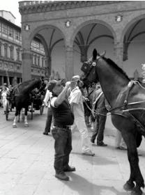 Fabulous Florence in a chariot...