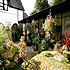Taychreggan Hotel photo 7