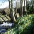 Crailoch Burn at the bottom of Cosses Country House Garden