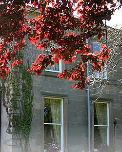 book Old Racecourse Hotel