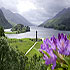 Morar Hotel photo 6