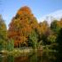 Beech Hill Country House Hotel - Relax & Unwind - 1 Night Offer